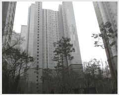  2025Ÿ��55412 ��� ȭ���� ������ �Ϳ츮 597 ���㼾Ʈ��Ǫ������ 111�� 5��502ȣ   ����Ʈ���