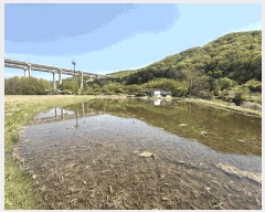  2025Ÿ55663  ν óα ذ 361      õ