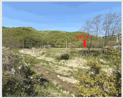  2025Ÿ55663  ν óα ذ 361      õ