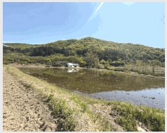  2025Ÿ55663  ν óα ذ 361      õ