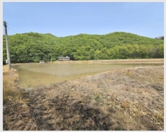  2025Ÿ55663  ν óα ذ 361      õ