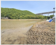  2025Ÿ55663  ν óα ذ 361      õ