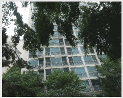  2025Ÿ��55787 ��� ���ν� ó�α� ������ 997 �������� 310�� 5��501ȣ   ����Ʈ���