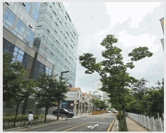  2025Ÿ��56216 ��� ȭ���� ��õ�� 878-3 �����Ƴʽ�Ƽ 13��1313ȣ     ����Ʈ��������