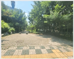  2025Ÿ��56306 ��� ȭ���� �ɵ� 1137 ��źǪ�������λ��������Ʈ 921�� 14��1403ȣ    ����Ʈ���