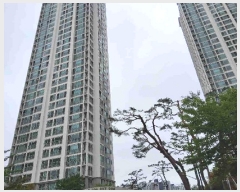  2025Ÿ��56306 ��� ȭ���� �ɵ� 1137 ��źǪ�������λ��������Ʈ 921�� 14��1403ȣ    ����Ʈ���