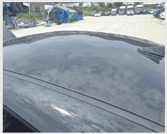  2025Ÿ��56983  �������
