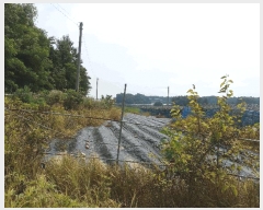  2025Ÿ��57039 ��� ȭ���� �ۻ�� ������ 765      ����(�Ӿ�)���