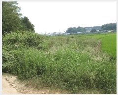  2025Ÿ��57039 ��� ȭ���� �ۻ�� ������ 765      ����(�Ӿ�)���