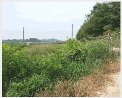  2025Ÿ��57039 ��� ȭ���� �ۻ�� ������ 765      ����(�Ӿ�)���