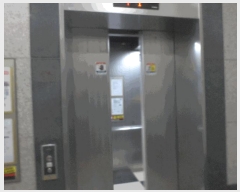  2025Ÿ��57712  ���ǽ��ڰ��