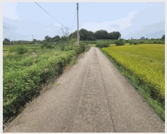  2025Ÿ��58028 ��� ȭ���� ������ �Ѱ��� 446-6      ����(��1)���