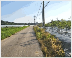  2025Ÿ��1094  ���ΰ��