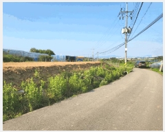  2025Ÿ��1094  ���ΰ��