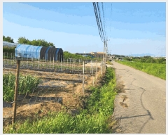  2025Ÿ��1094  ���ΰ��