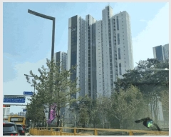  2025Ÿ��54614  ����Ʈ���