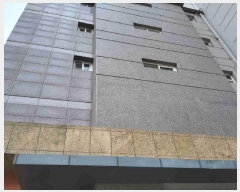  2025Ÿ��54614  ����Ʈ���