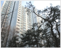  2025Ÿ��54861 ��� ���ν� ���ﱸ ���ϵ� 621 �����������ֿ����Ʈ 310�� 3��303ȣ   ����Ʈ���