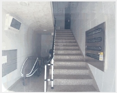  2025Ÿ��55013  ���ð��