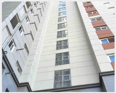  2025Ÿ��55018  ����Ʈ���