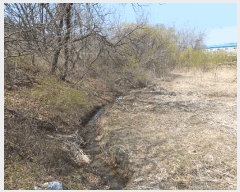  2025Ÿ��55269  ����