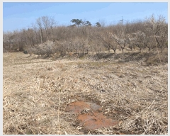  2025Ÿ��55269  ����