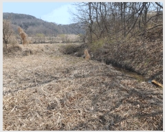  2025Ÿ��55269  ����