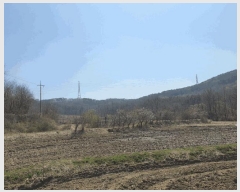  2025Ÿ��55269  ����