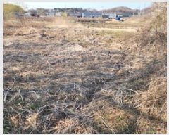  2025Ÿ��55269  ����