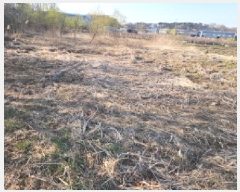  2025Ÿ��55269  ����