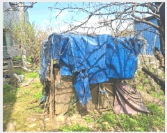  2025Ÿ��55311 ��� ȭ���� ��ȸ� ������ 654      ������