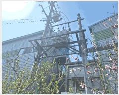  2025Ÿ��55311 ��� ȭ���� ��ȸ� ������ 654      ������