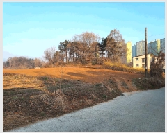  2025Ÿ��55363  �����