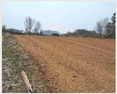  2025Ÿ��55363  �����