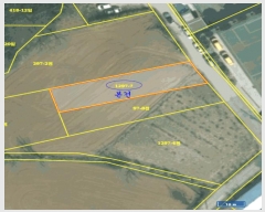  2025Ÿ��55363  �����