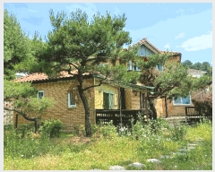  2025Ÿ��55408  ���ð��