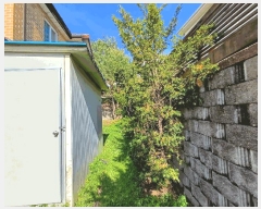  2025Ÿ��55408  ���ð��