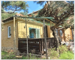  2025Ÿ��55408  ���ð��