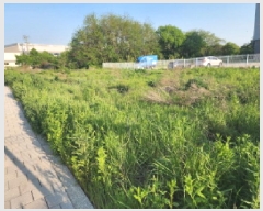  2025Ÿ��55748 ��� ȭ���� ������ ȭ�긮 364-15      ����(�Ӿ�)���