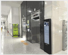  2025Ÿ��55823 ��� ���ν� ���ﱸ �󼭵� 455 �����̾�����ĳ�����Ｍõ 1����151ȣ    ��,�繫�ǰ��