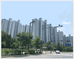  2025Ÿ��56538 ��� ȭ���� û�赿 541 ��ź�� �Ե�ĳ���˹�Ʈ�ν� 1306�� 19��1904ȣ   ����Ʈ���
