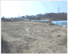  2025Ÿ��55017  �����