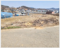  2025Ÿ��55017  �����