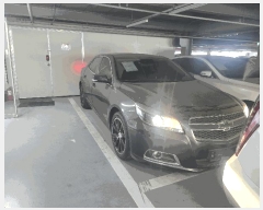  2025Ÿ56577   95, ī       