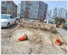  2025Ÿ��976 ��� ������ �Ǽ��� �Ժϵ� 299      ����(����)���