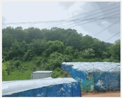  2025Ÿ��1222 ��� ȭ���� �ۻ�� ��ȭ�� 635      ����(��1)���