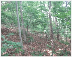  2025Ÿ��1222 ��� ȭ���� �ۻ�� ��ȭ�� 635      ����(��1)���