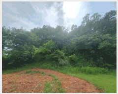  2025Ÿ��1222 ��� ȭ���� �ۻ�� ��ȭ�� 635      ����(��1)���