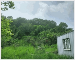  2025Ÿ��1222 ��� ȭ���� �ۻ�� ��ȭ�� 635      ����(��1)���