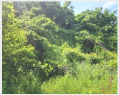  2025Ÿ��1222 ��� ȭ���� �ۻ�� ��ȭ�� 635      ����(��1)���